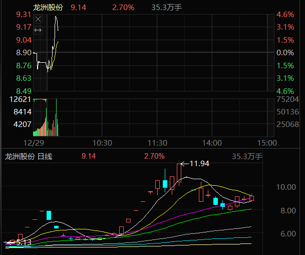 龙州股份002682，今天继续冲，大家都有耐心持有吧？上周五没有被洗出吧？ 