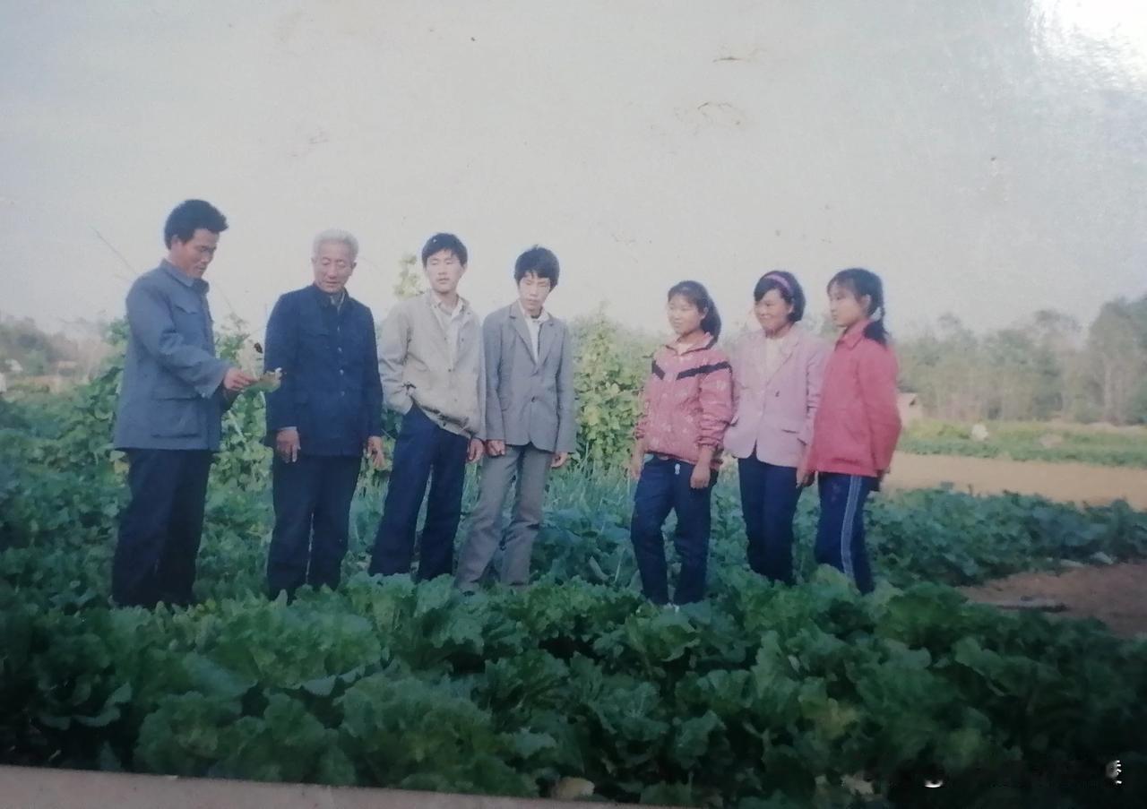 1999年拍的莒县职业中专农学师生在研究粮菜间作模式。