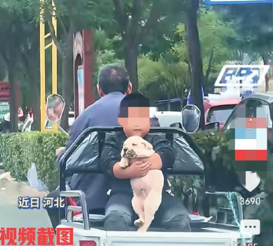 河北有人行车遇见了可爱一幕。

此时爷爷载着孙子，孙子手中还抱着狗狗，这画面太温