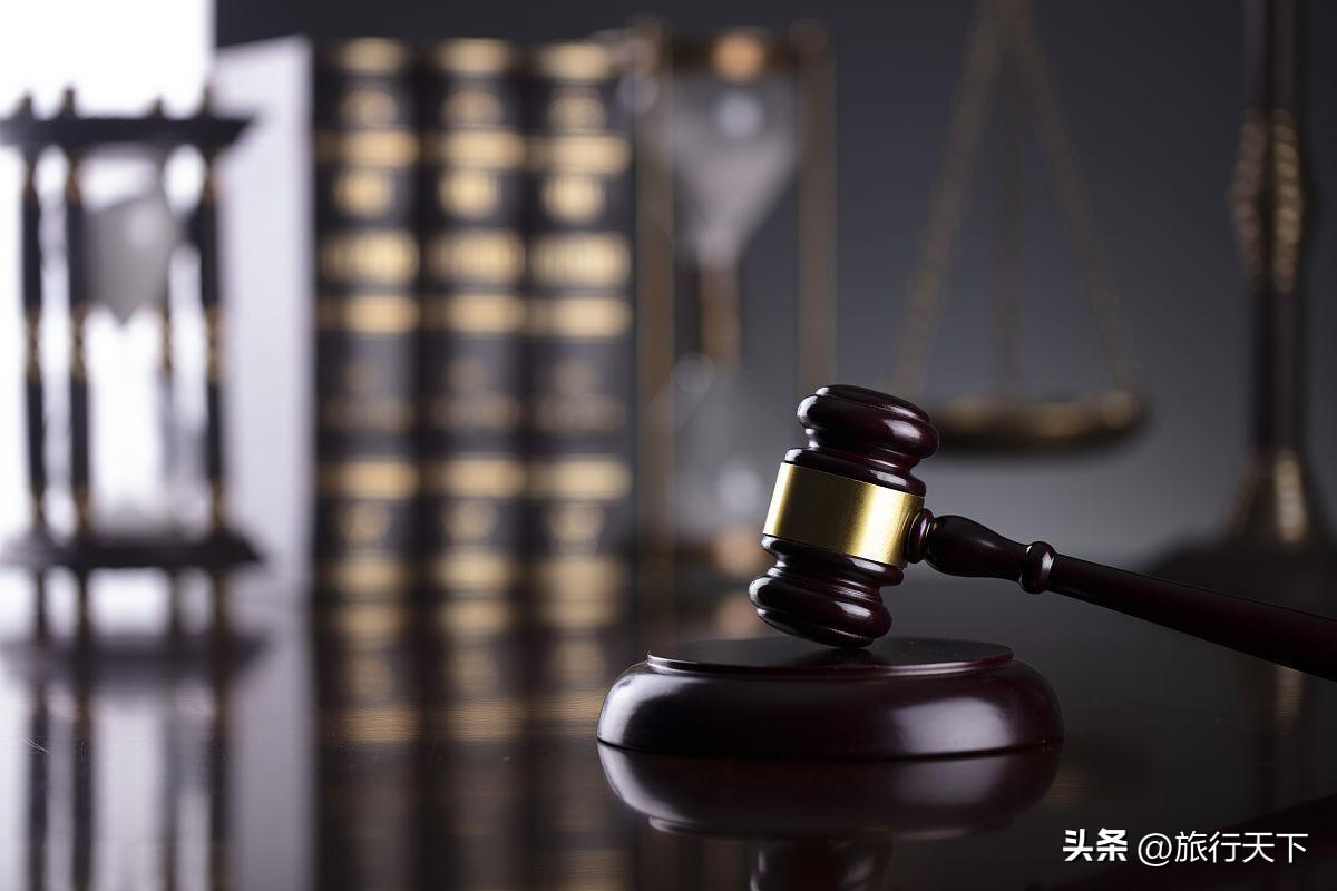 平顶山打人事件后续，当街施暴者被批捕后，受害者家属还能主张哪些权利？

来源:追