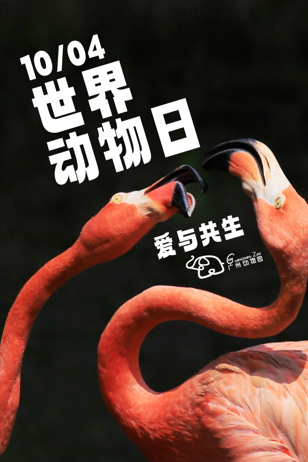 世界动物日