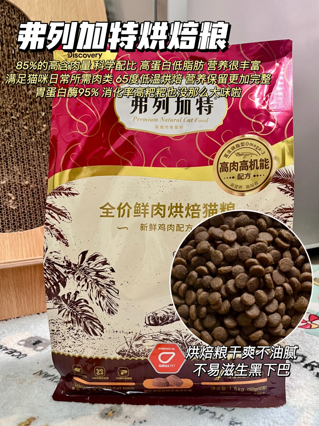 国产猫粮分享｜选粮不用再焦虑