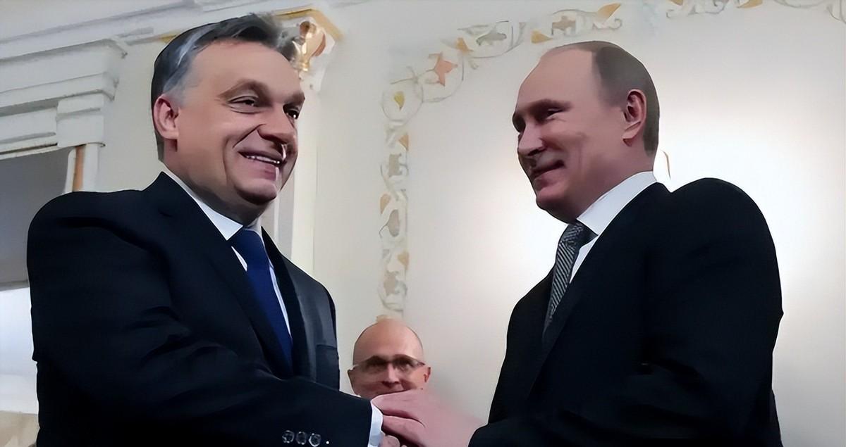 哎哟喂，看到这新闻我真是忍不住想拍大腿：在那个圈子混了快二十年，见过无数大起大落