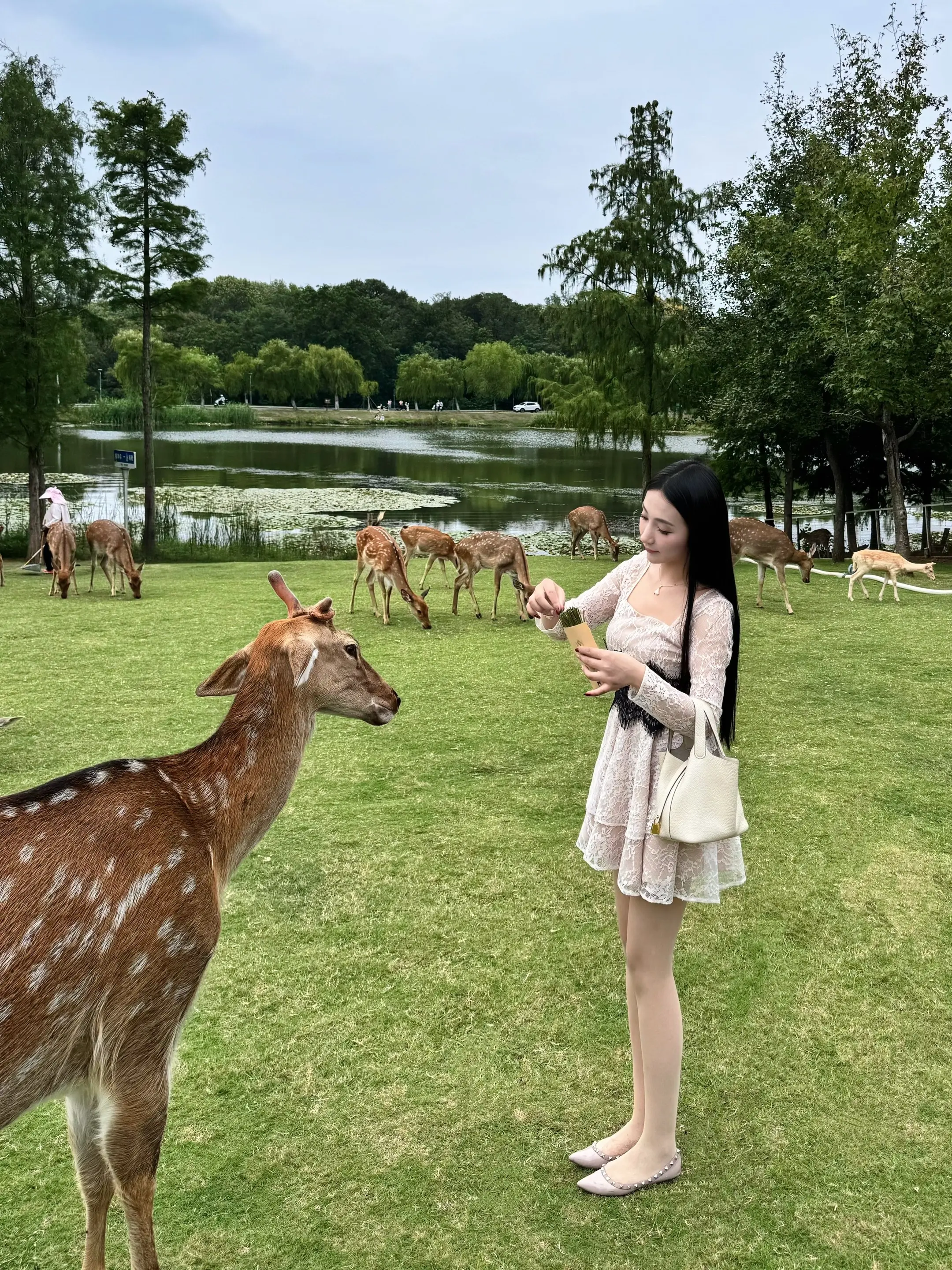 摸摸小鹿头 万事不用愁 🦌