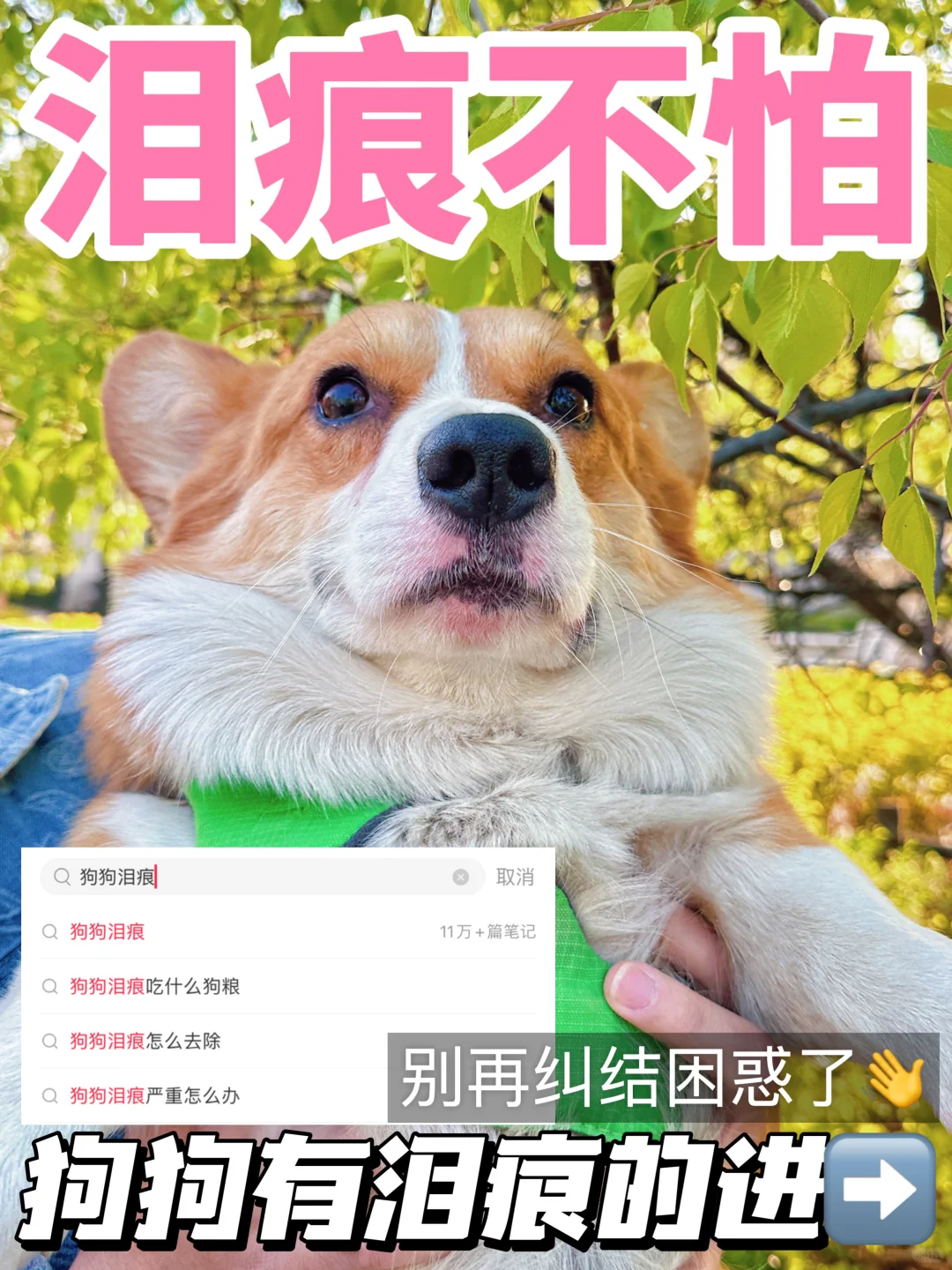 不是吧……去泪痕这么简单❓❓❓