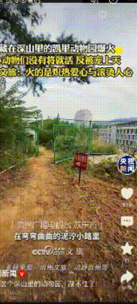 这个深山里的动物园，这回是真的藏不住了，连央视新闻都来报道了。

爆火后，没想到