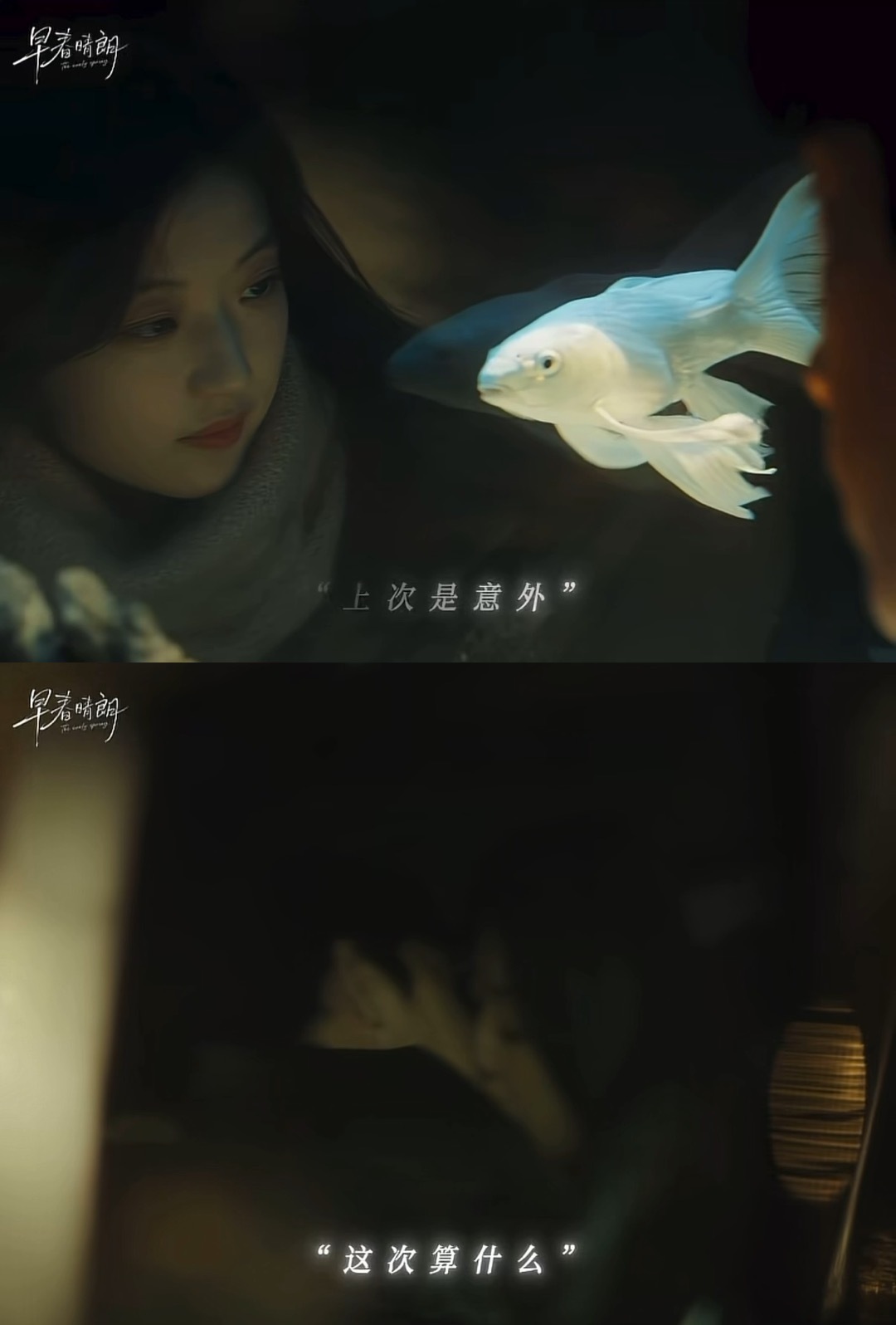 早春晴朗吵架一次美味一次受不住了，这剧是真的懂怎么拿捏观众🥺俩人刚闹完别扭就开