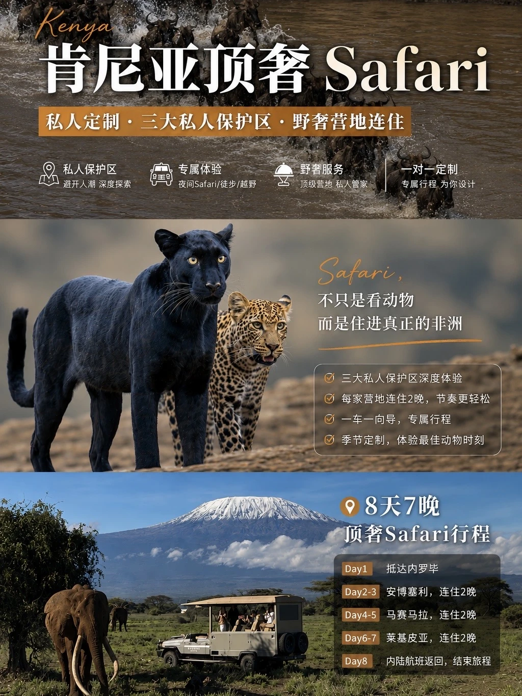 🐆肯尼亚黑豹秘境，只有1%的人这样玩Safari