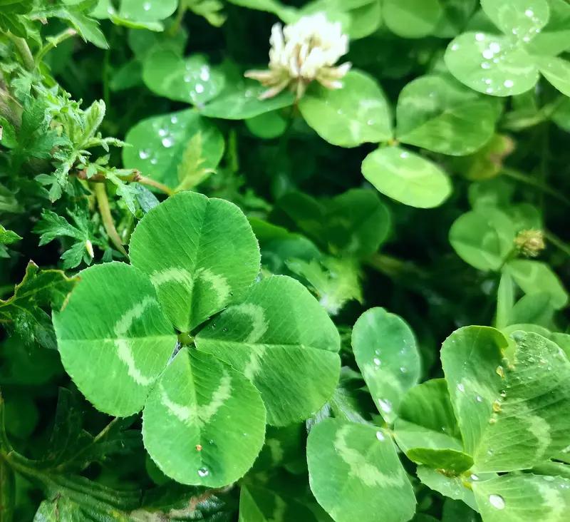 运气和努力哪个更重要，这就像在问船帆和船桨谁更关键。努力是可控的，是日复一日的积