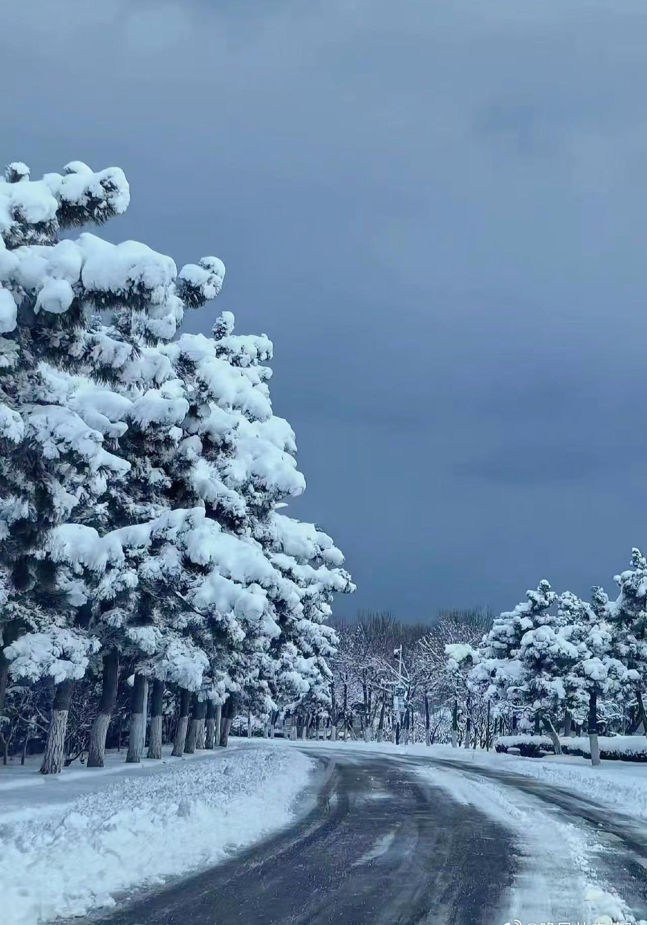 暴雪无情，人间有爱。这场大雪中，无数暖心瞬间在齐鲁大地上演，成为寒冬里最动人的风