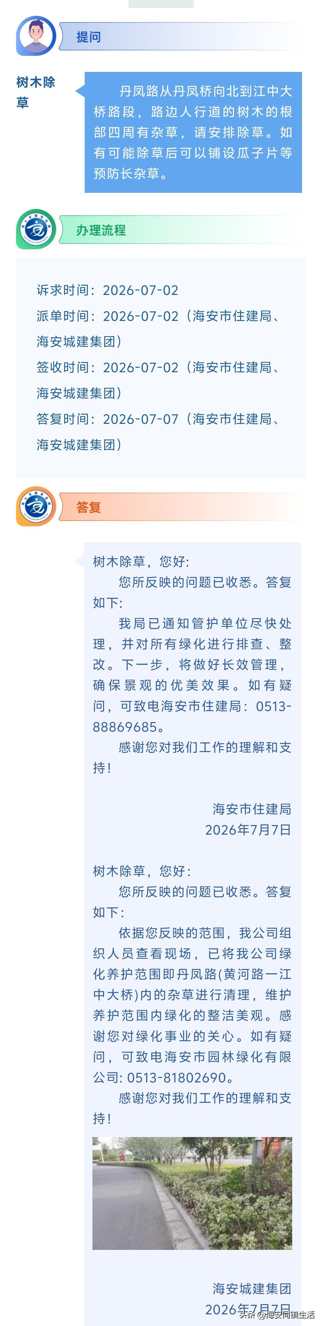 海安网友反映:  丹凤路从丹凤桥向北到江中大桥路段，路边人行道的树木的根部四周有