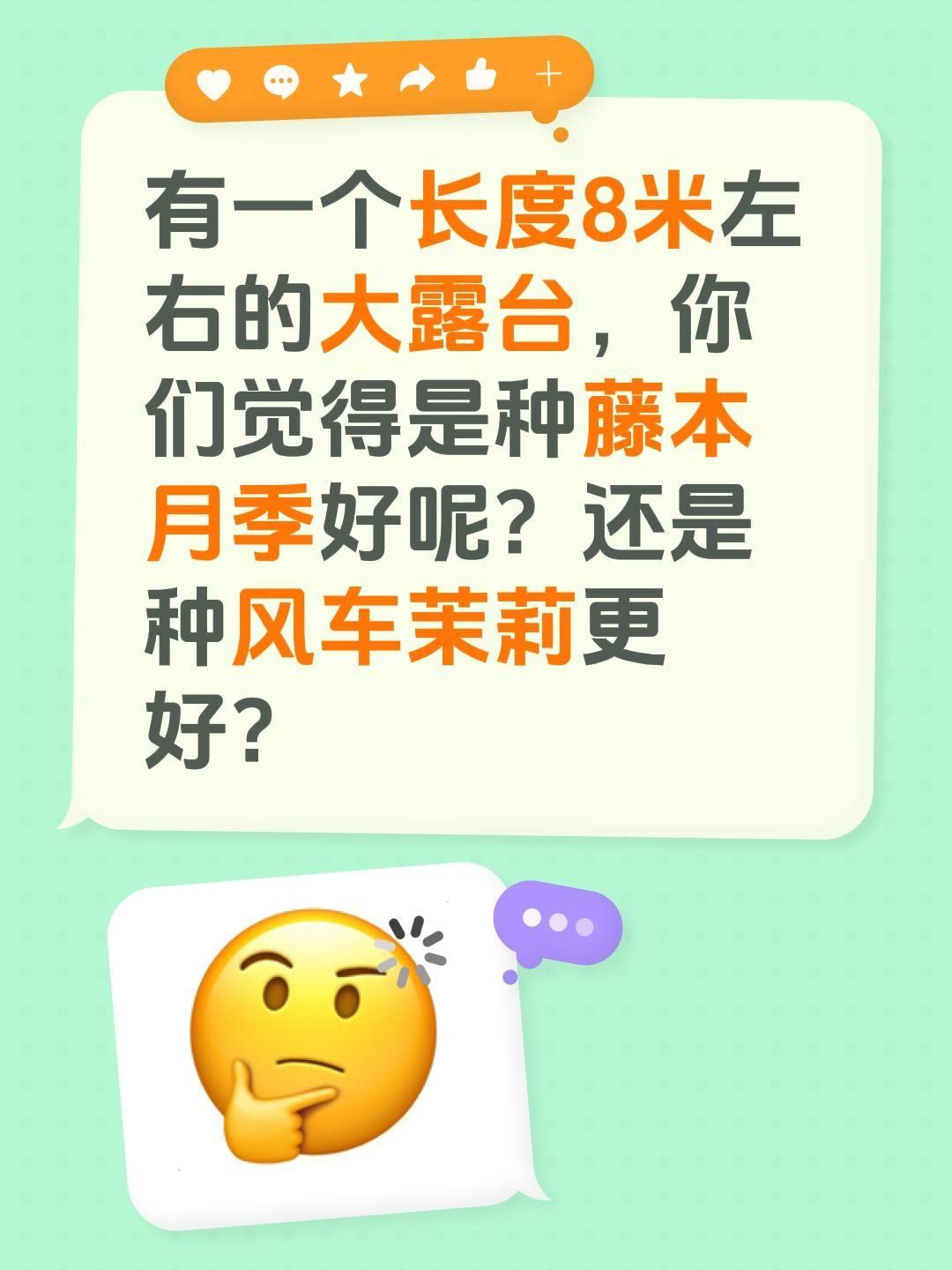 种藤本月季还是风车茉莉？有一个长度8米左右的大露台，你们觉得是种藤本月季好呢？还