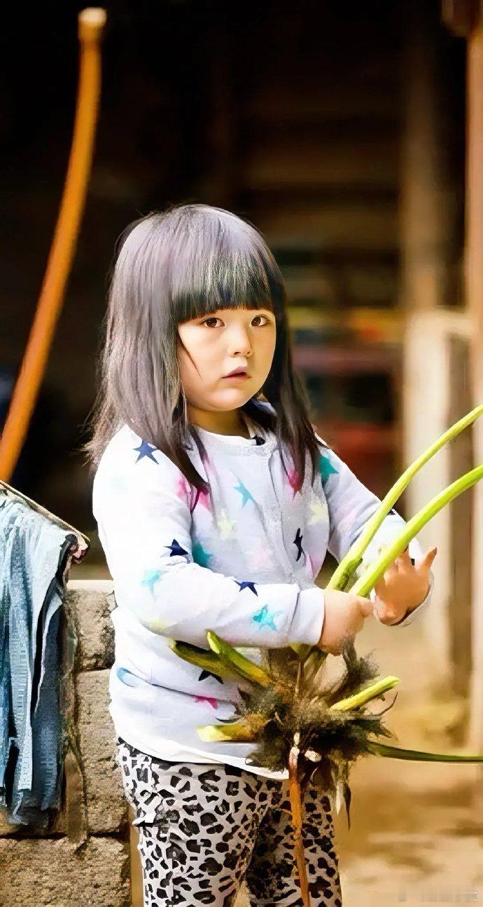 王诗龄这辈子吃过唯一的苦，估计就是参加爸爸去哪儿了