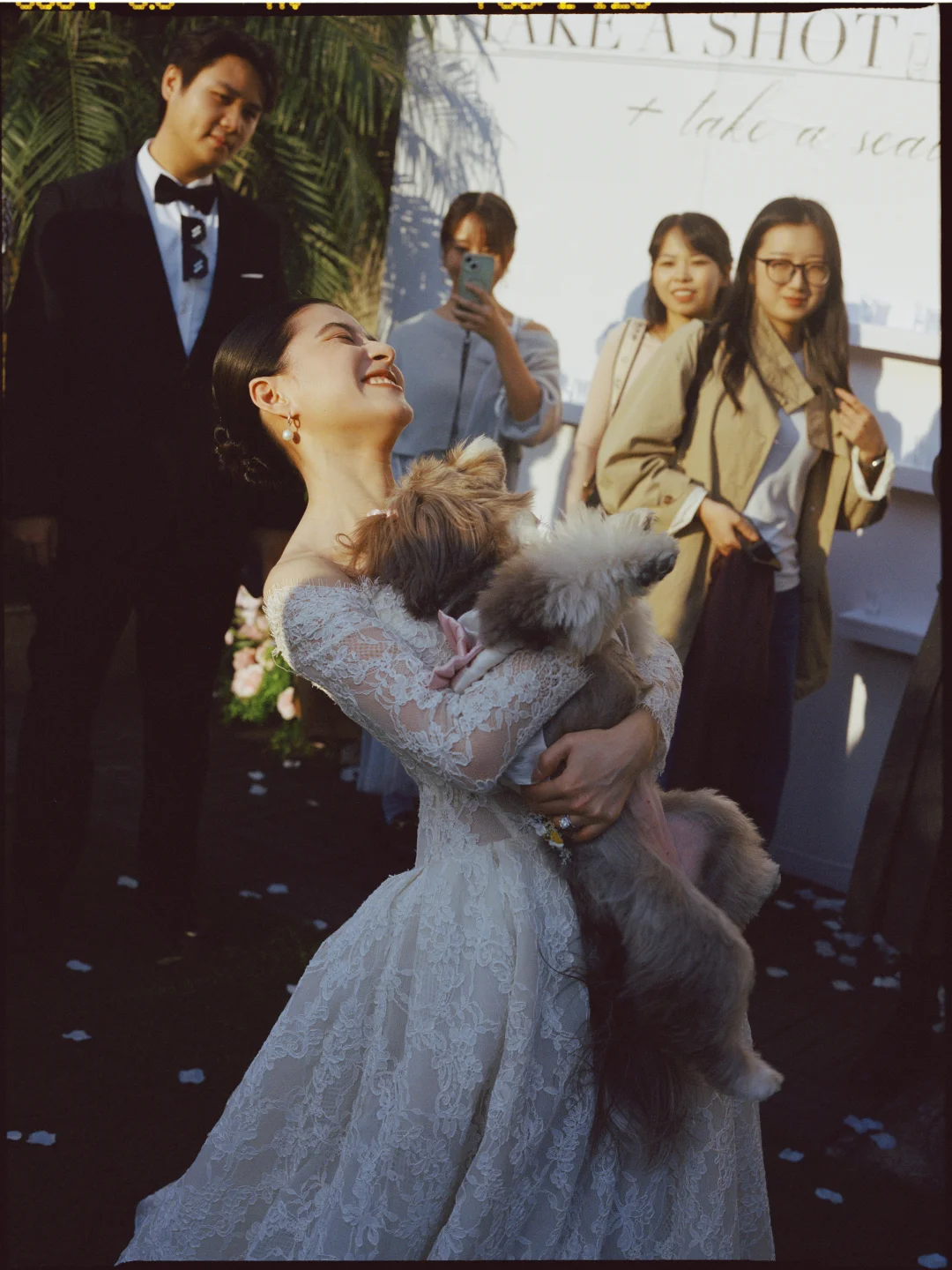 是小狗也是家人🐶