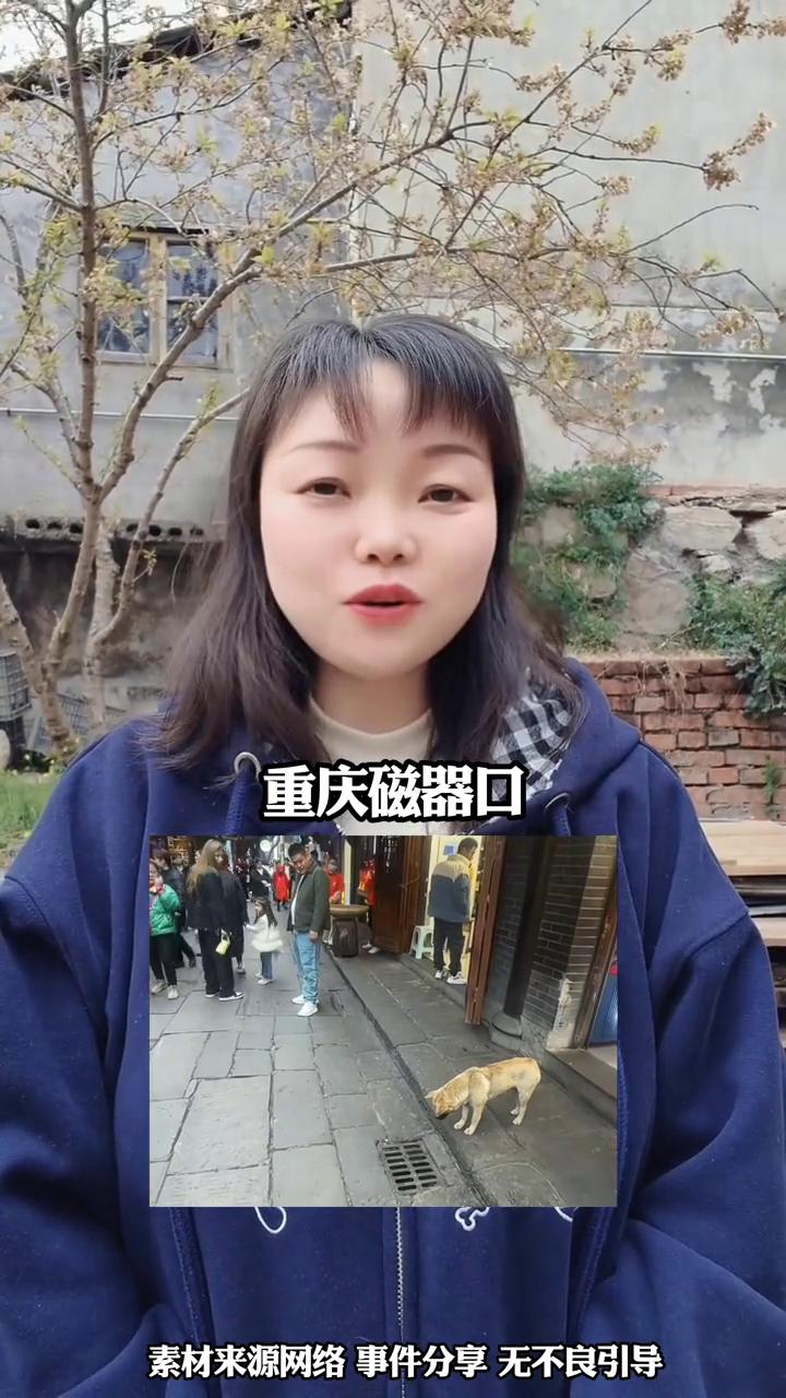 磁器口"影帝狗"火了，低头盯下水道，近视烤肠销冠。
真是笑死人了，重庆磁器口有一