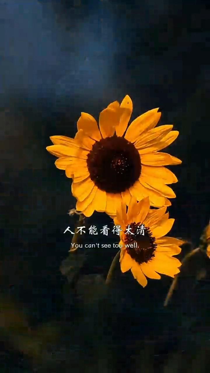 茶语清香，感悟人生。
事不能想的太多，想多了心就乱了。人不能看得太清，看清了心就