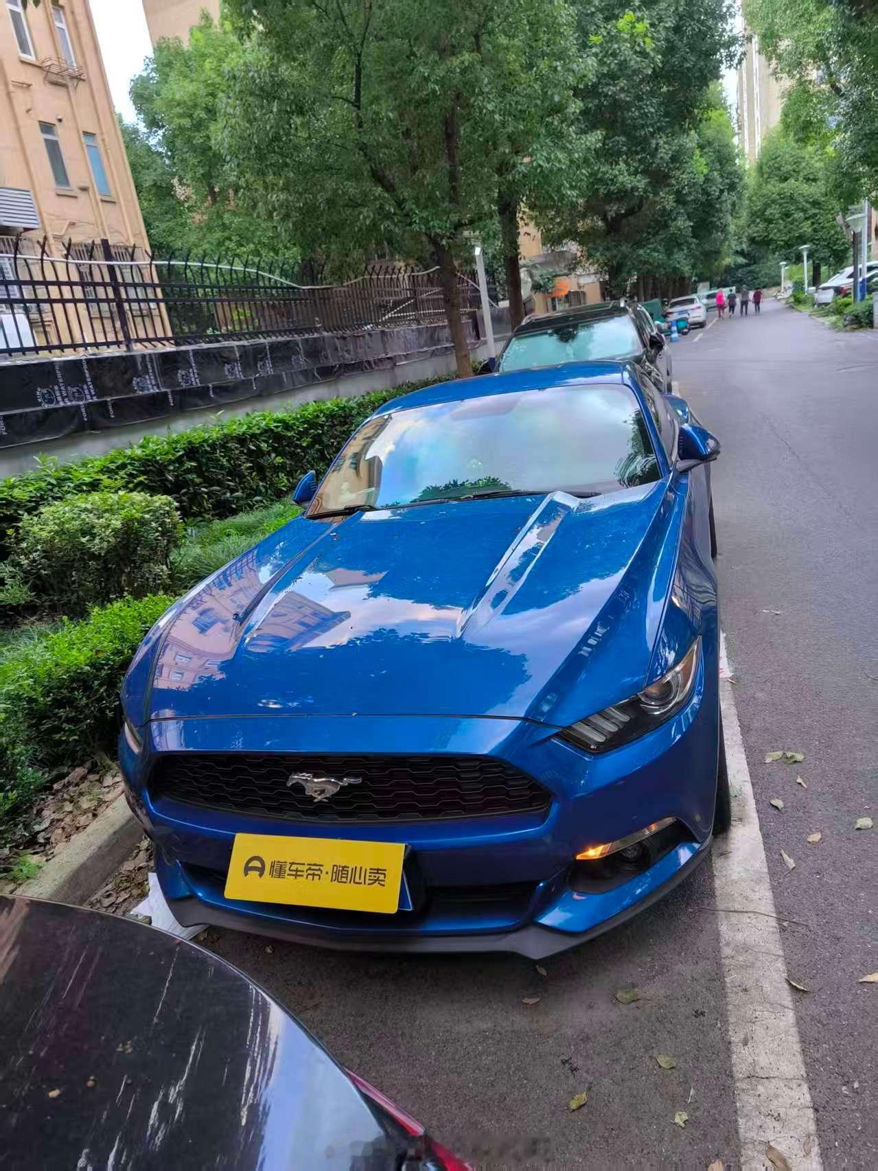 好恶心人 成色这么漂亮的野马我本来不喜欢蓝色的，但是这个车看着给我的感觉好新啊！