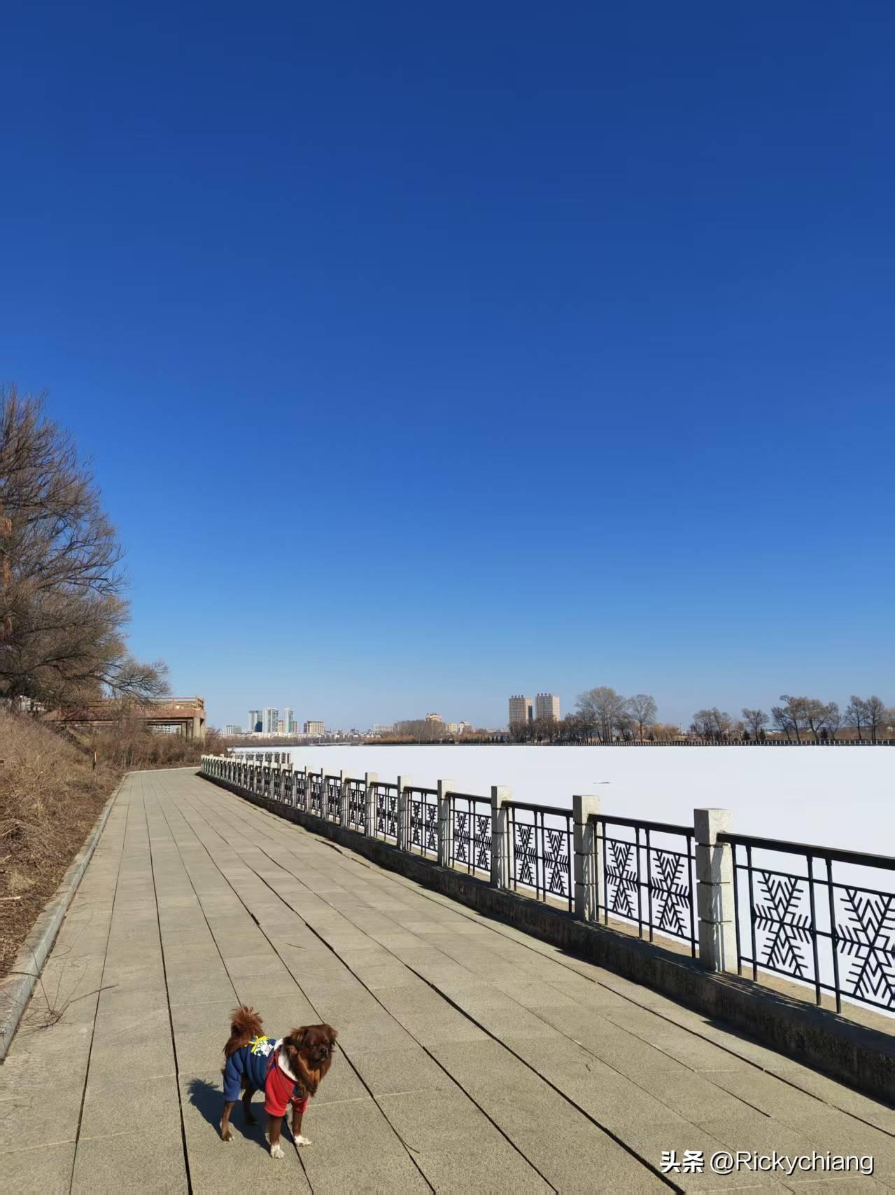 语言到不了的地方，文字可以。
灵魂到不了的地方，音乐可以。
听歌不只是听觉消遣，