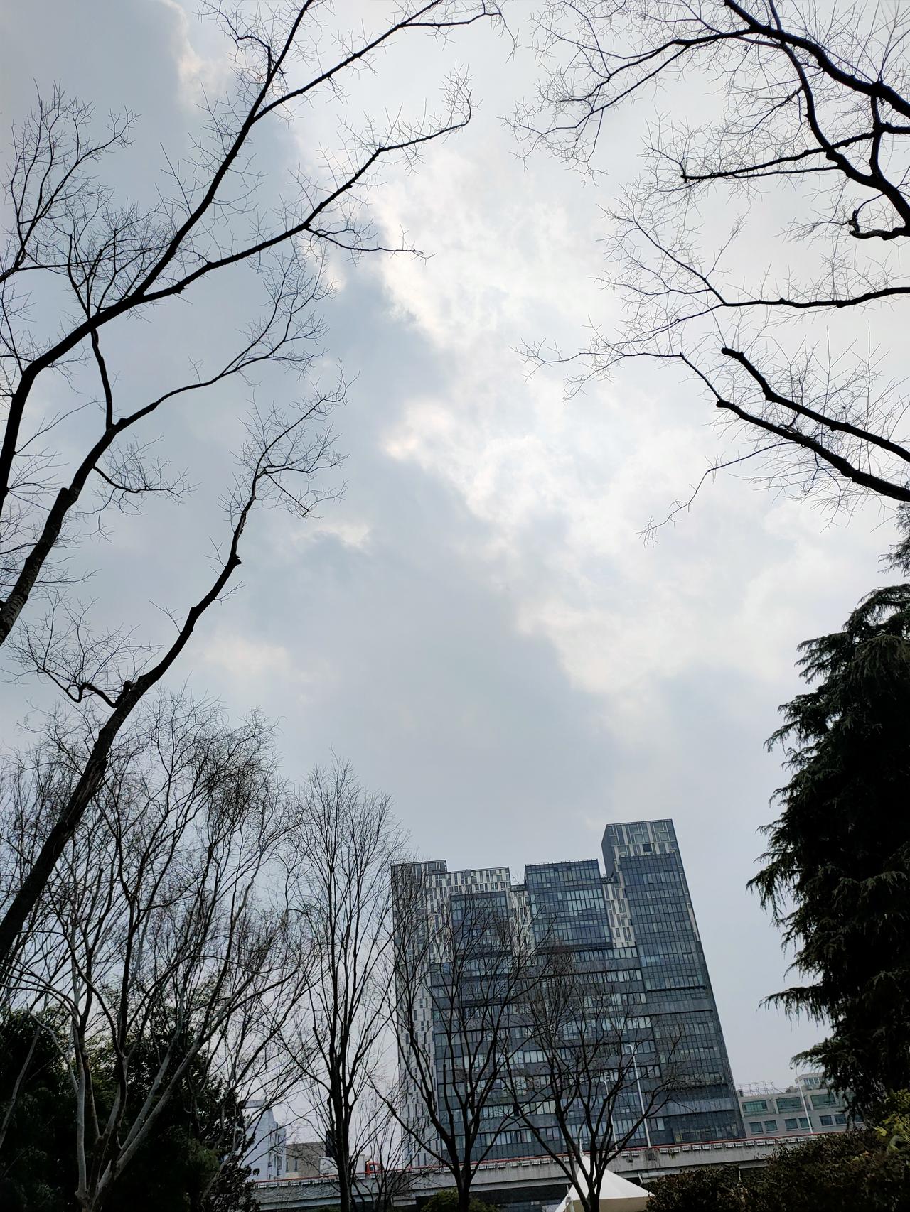 春日公园绿地散步随手拍

实景图分享！[烟花][烟花][玫瑰][玫瑰]