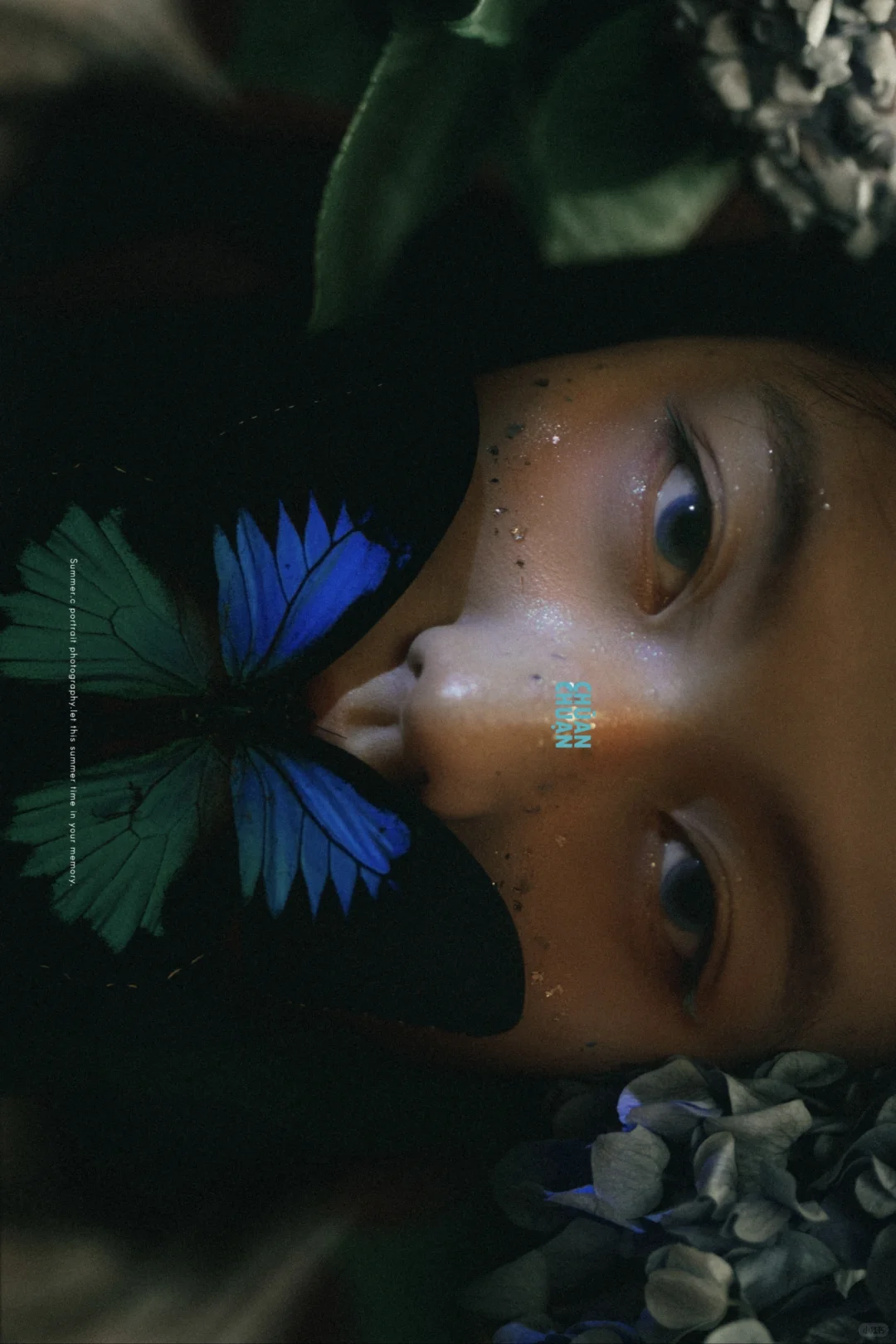 🦋