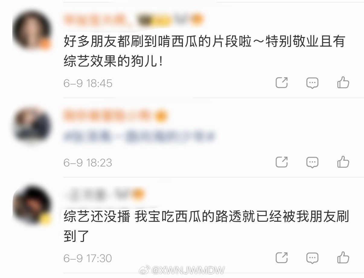 居然不止一个这么说，那我又有预感了燥候播出