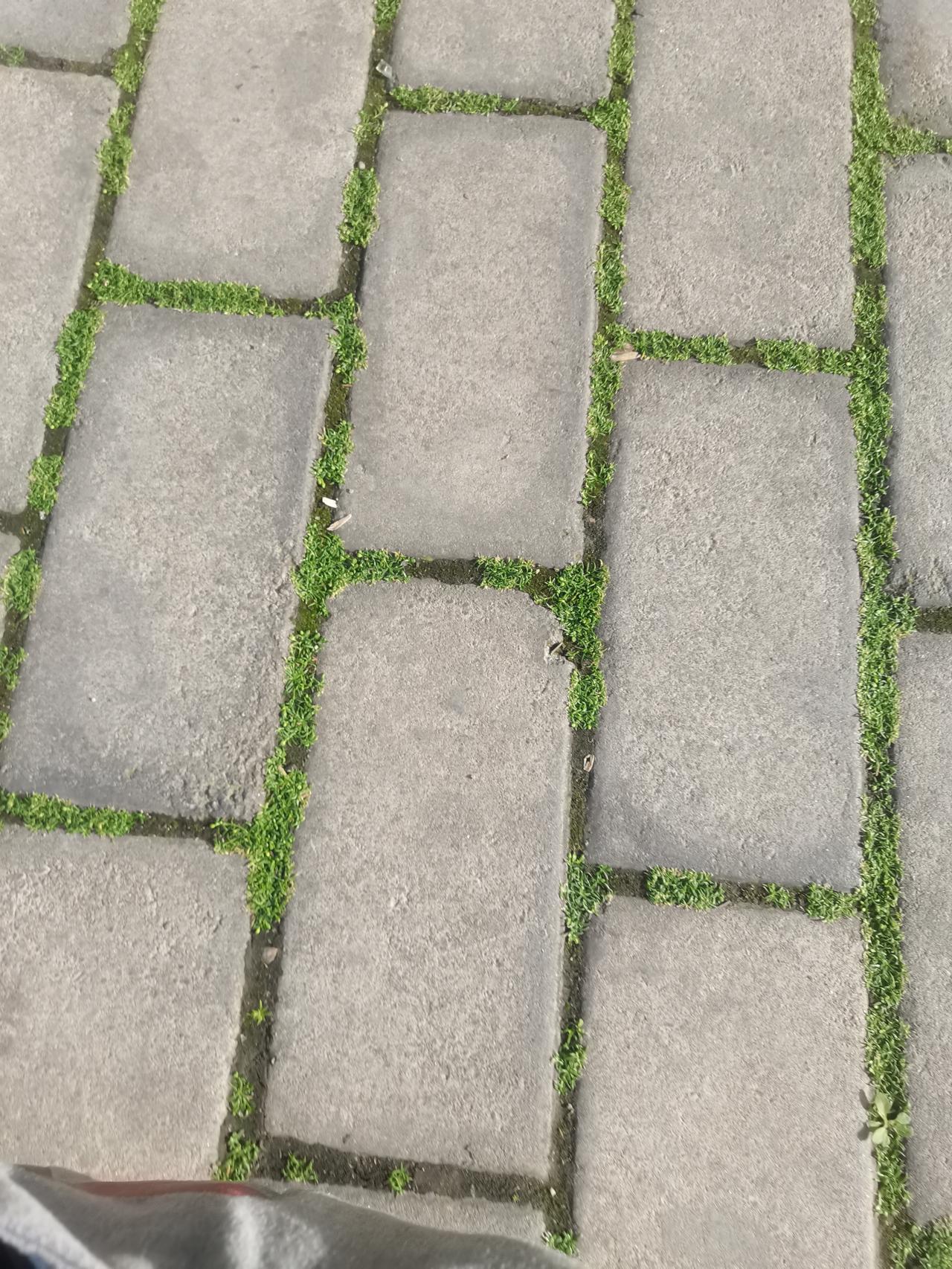 实属无用，多此一举，是把环卫工当猴耍！
从街道商铺前路过，看到在砖铺的地面，环卫