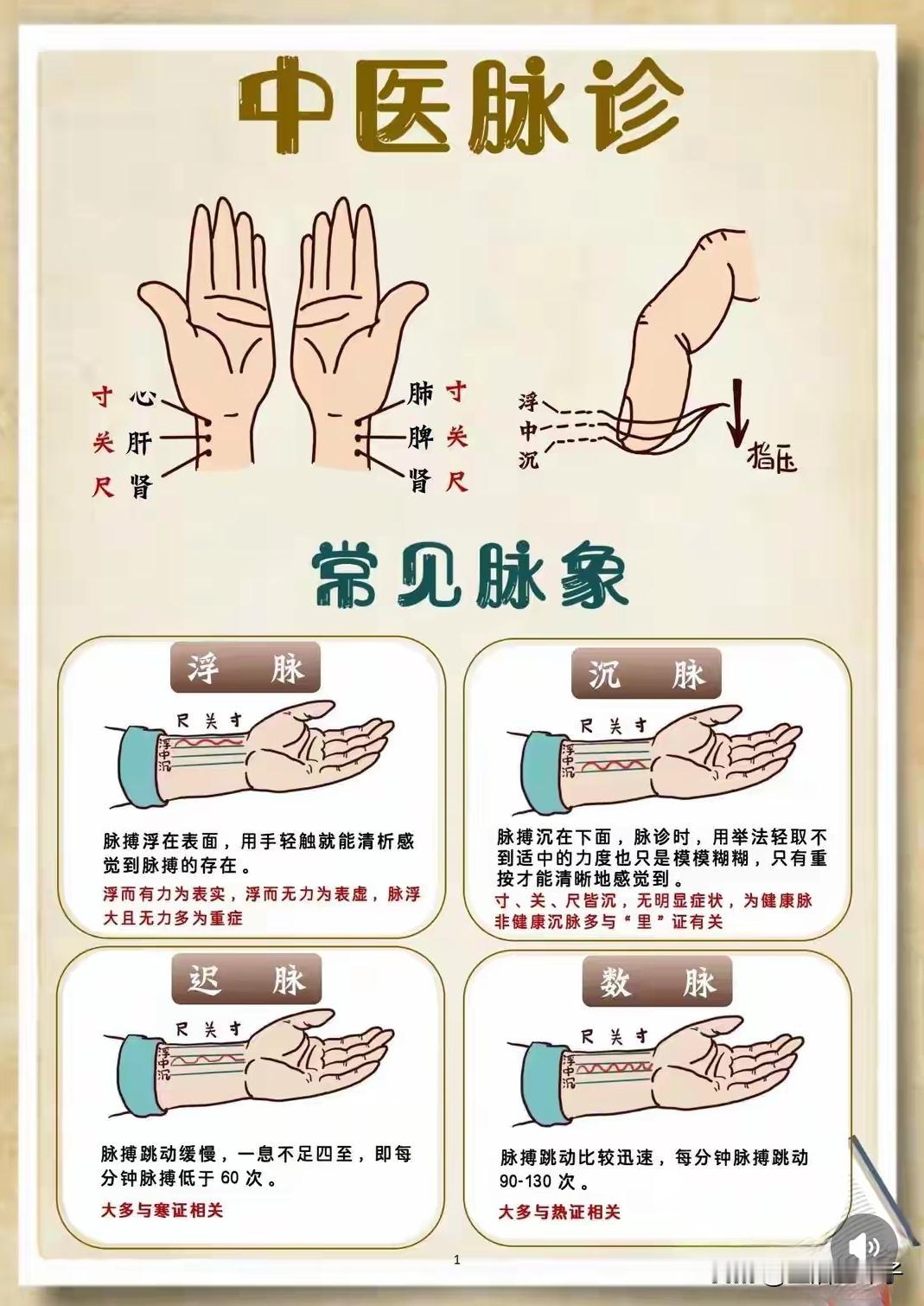 1️⃣ 浮脉：脉搏浮在表面，轻触就能感觉到。浮而有力可能是表实，浮而无力可能是表