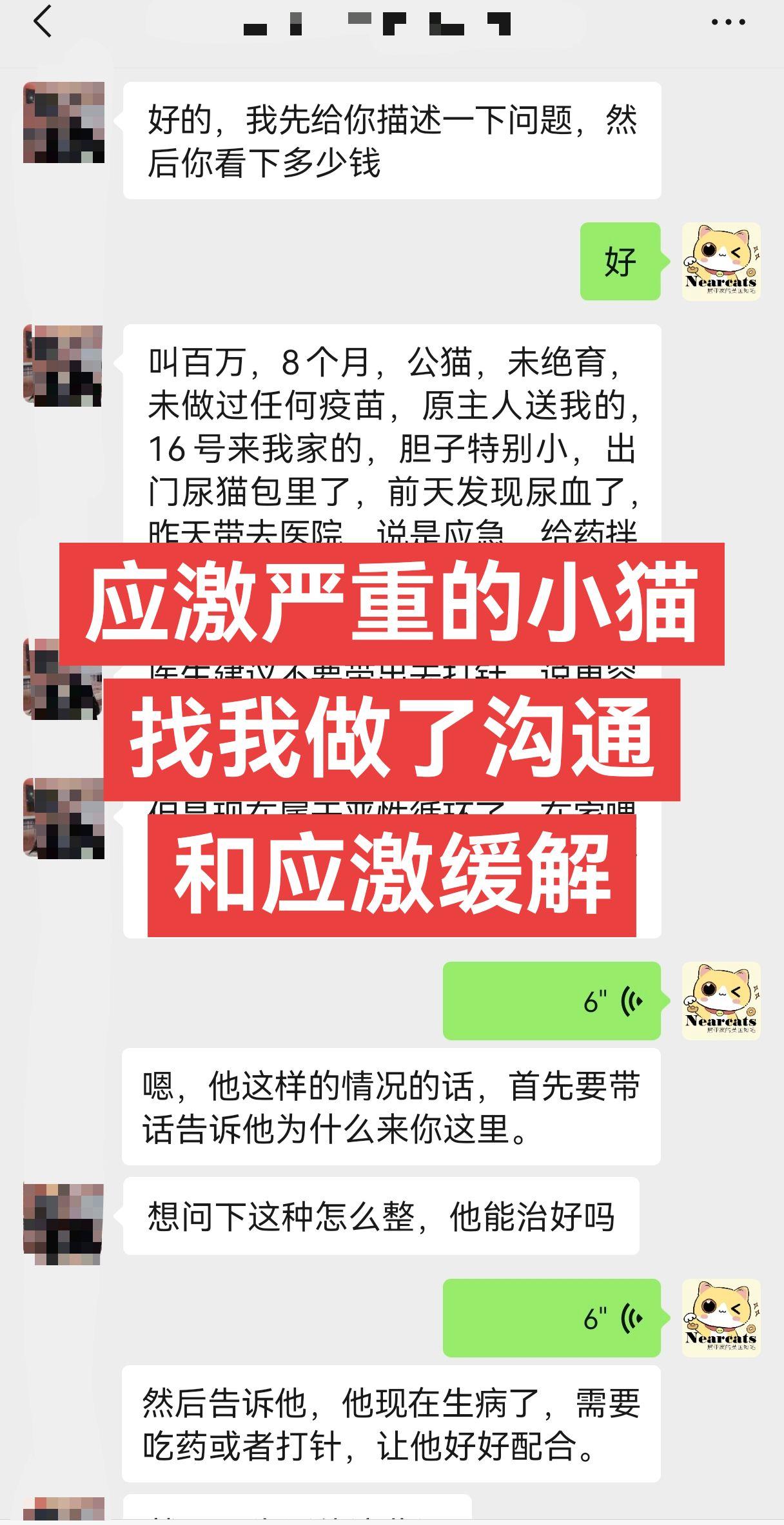 有时候觉得做宠物沟通师真的是一份很有意义的工作