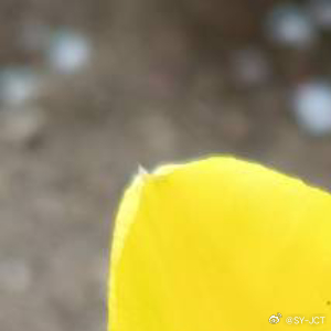 每日一善每日一善心怀感恩，所遇皆是美好。心怀善念，所遇皆是温暖。愿所有人都能常怀