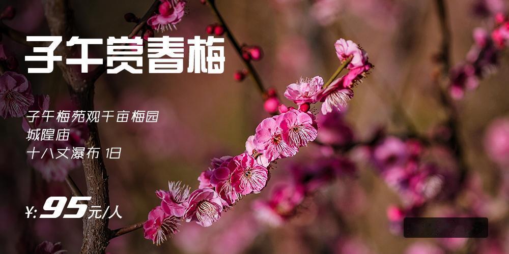 本周女士有优惠💃💃
西安周边游📅上新啦❗
春见花开🌸花期邀约
🔸【子午