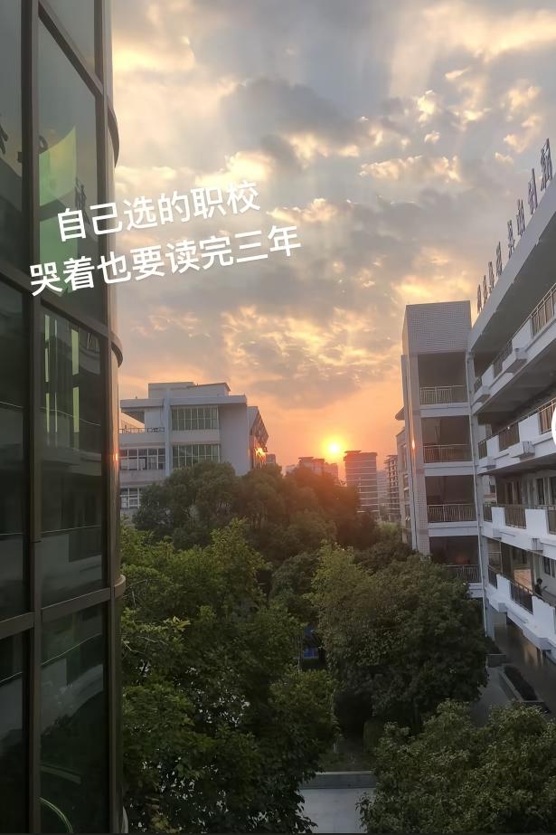 侄子今年考不上高中，选择了一个中职学校读书！去之前曾下定决心要好好读书，三年后参