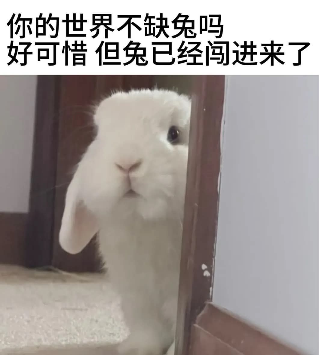 李沛恩[超话] 想霖霖兔了[努力] ​​​