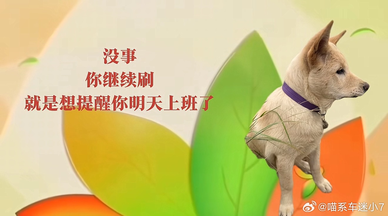 一周中最煎熬的是周日晚上周日晚上的心情比周一早八还沉重！还跟上学那会一样，最爱周