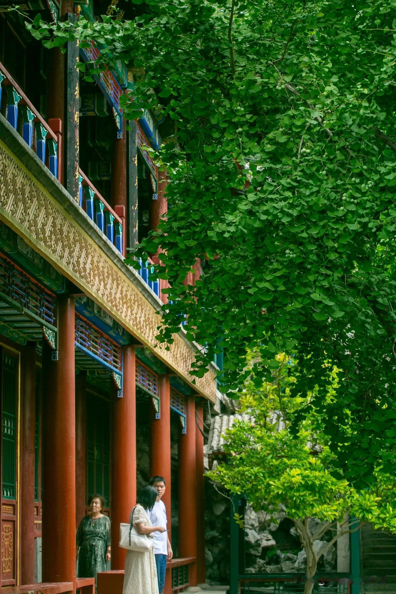大观园乃是《红楼梦》里的核心场景，其建筑美学融合了中国古典园林的造园精华，既有皇