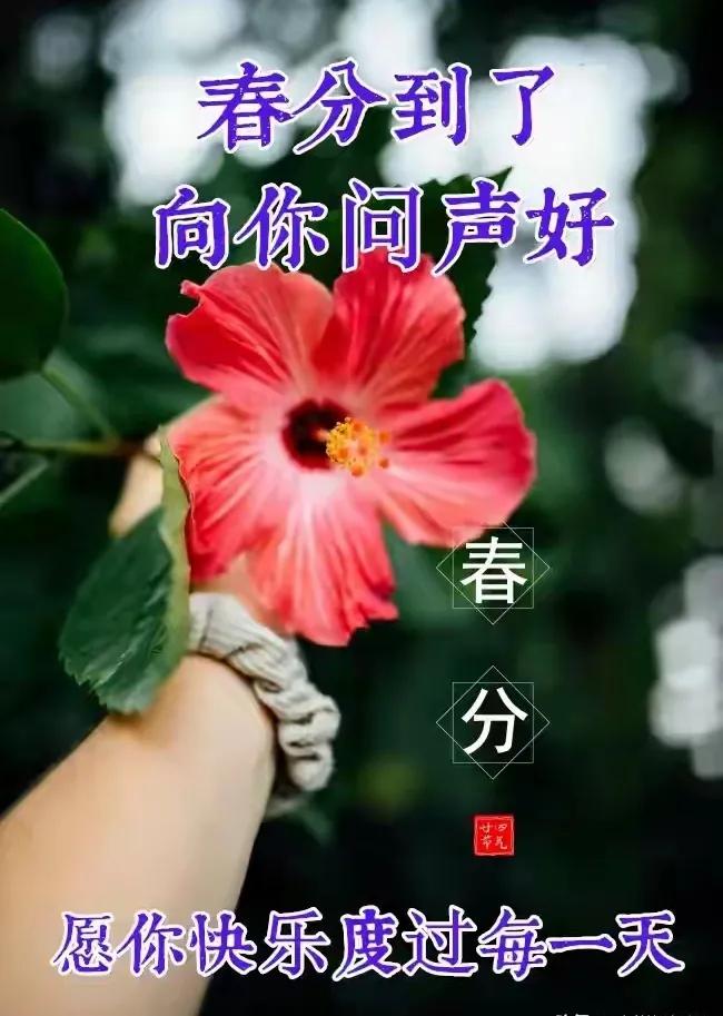 《春分》
均分昼夜两相宜，
冷暖交锋雨涨池。
杨柳垂青桃李艳，
纸鸢翻舞正当时。