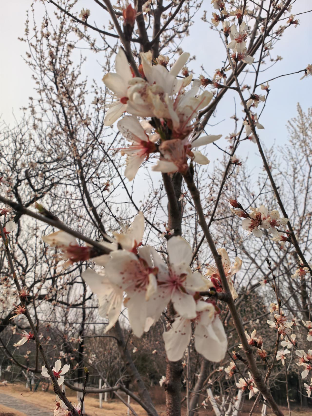 晒图笔记大赛每天站桩一个小时。坚持三个月，看看效果。目前看还是不错的。