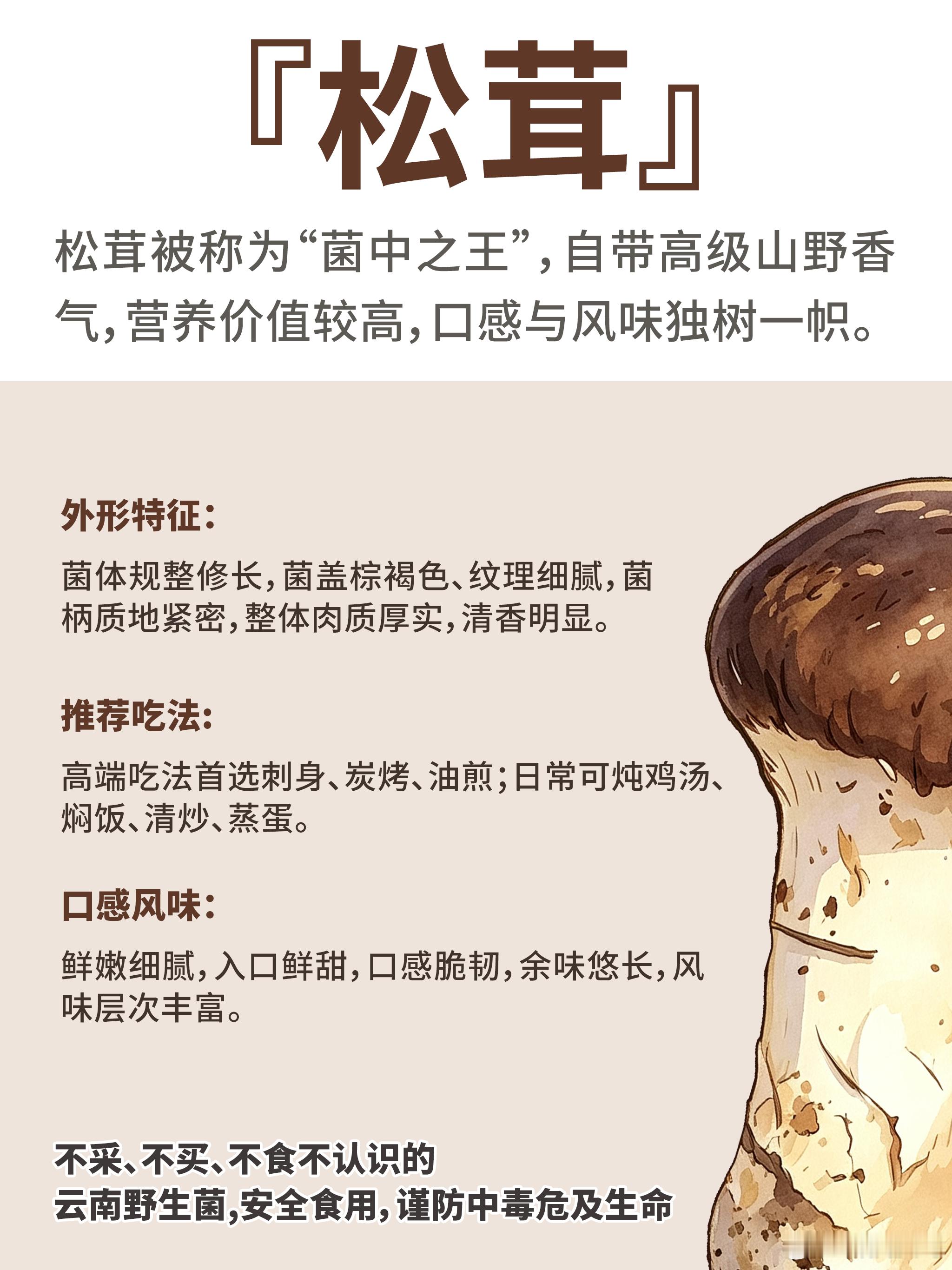 只有云南人才懂的野生菌执念 鸡枞油真的是宝藏，菌季的时候多熬上一些，拌面拌饭都很
