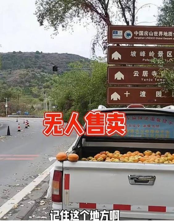 北京一哥们儿把一车柿子撂景区路边，车钥匙都不拔，10元一袋自己扫码，结果一车卖空