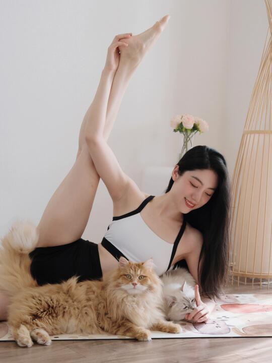 吃饱了的猫咪才会乖乖的当瑜伽搭子哦!不然…