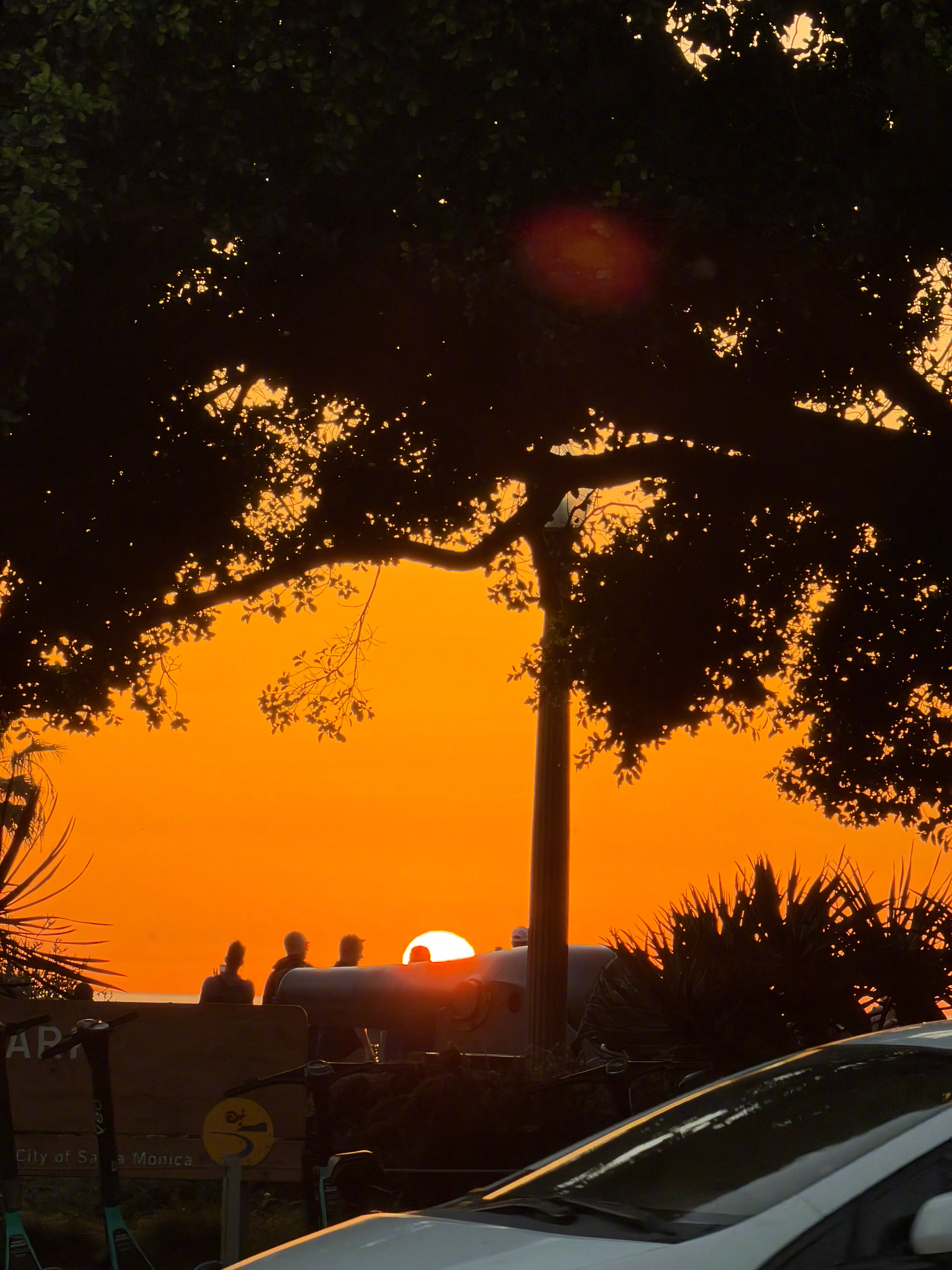 在最后一天看到了日落还有《老友记》《生活大爆炸》的拍摄场地 心满意足！准备回家了