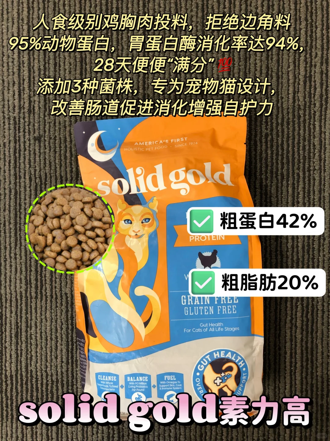 多猫家庭选粮不焦虑｜四大热门进口粮测评