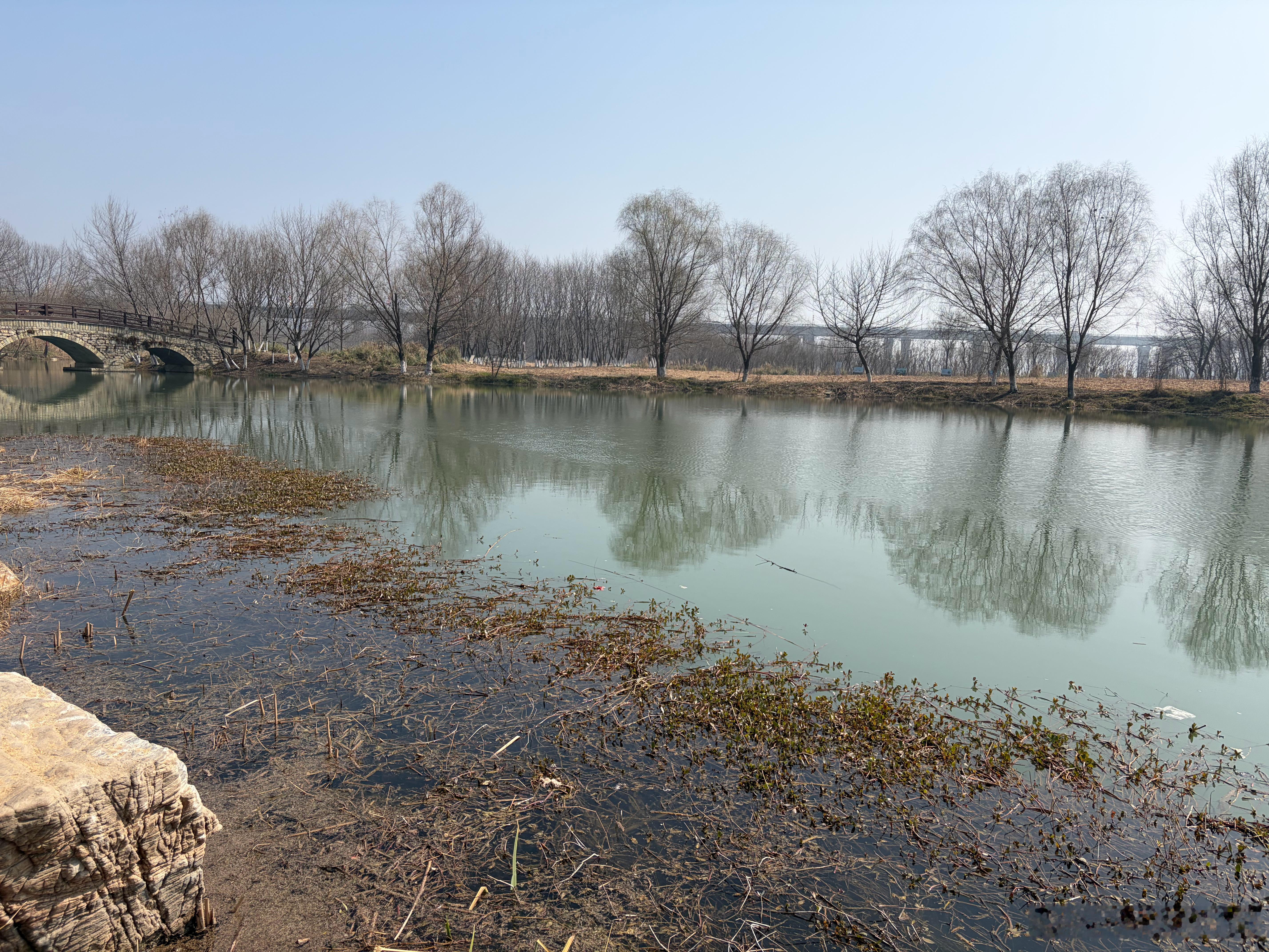 这真是百分百💯完美的钓鱼窝子这水草里肯定藏满了鲫鱼 襄阳