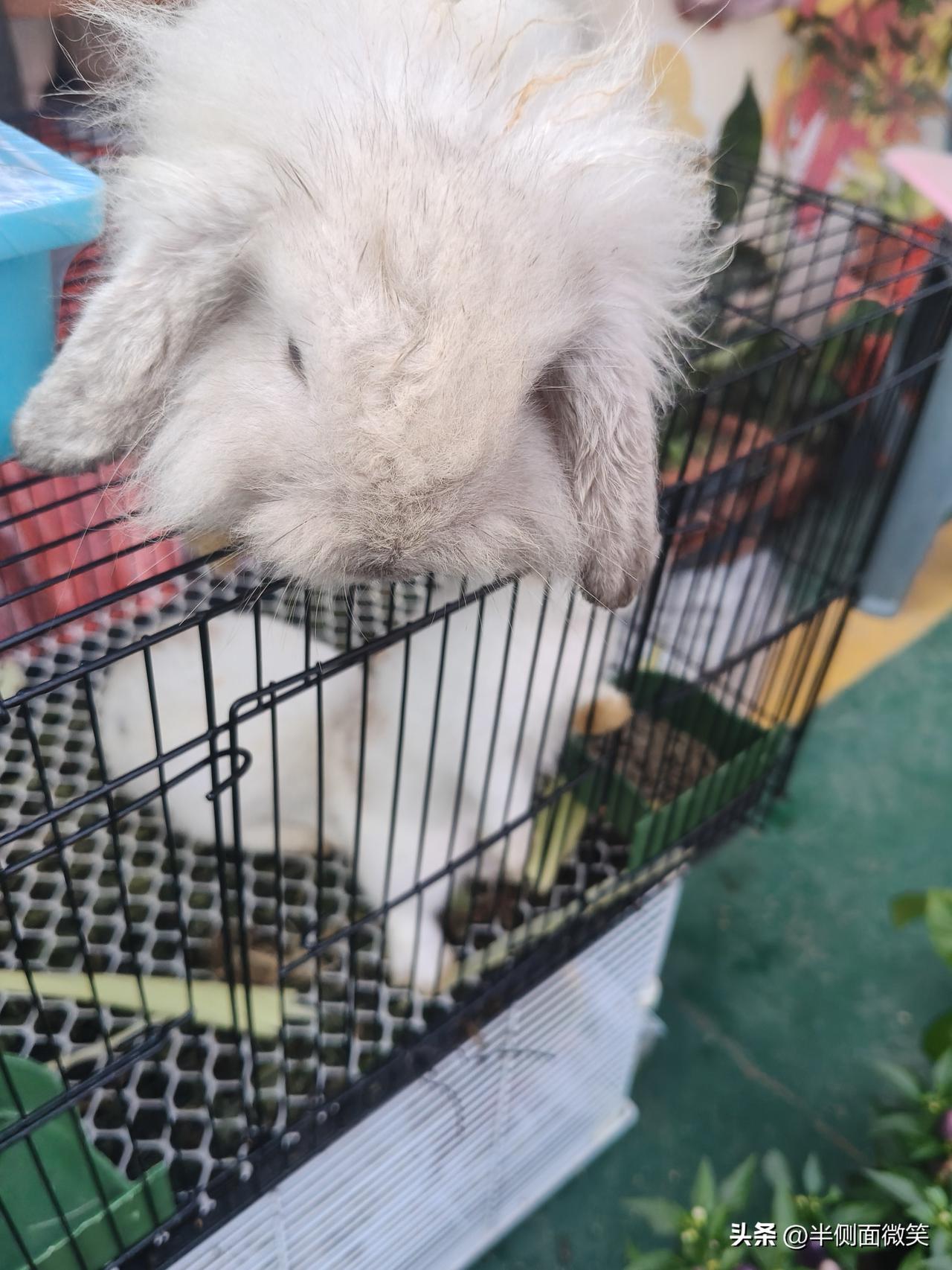 不晓得