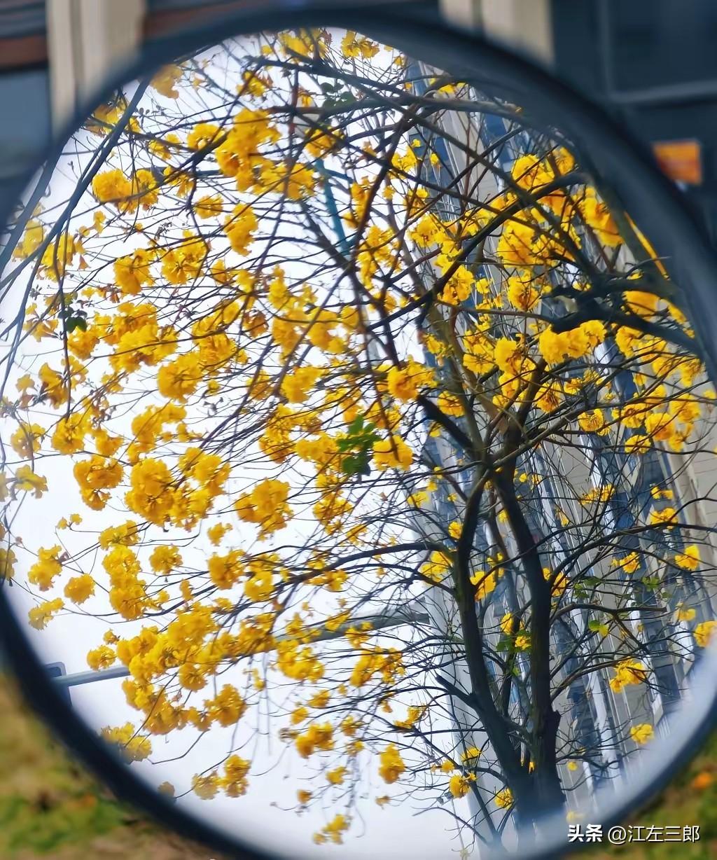 纪伯伦说:
“父母的爱，该是孩子身后的托底，而不是捆住孩子脚步的枷锁。”
真正的