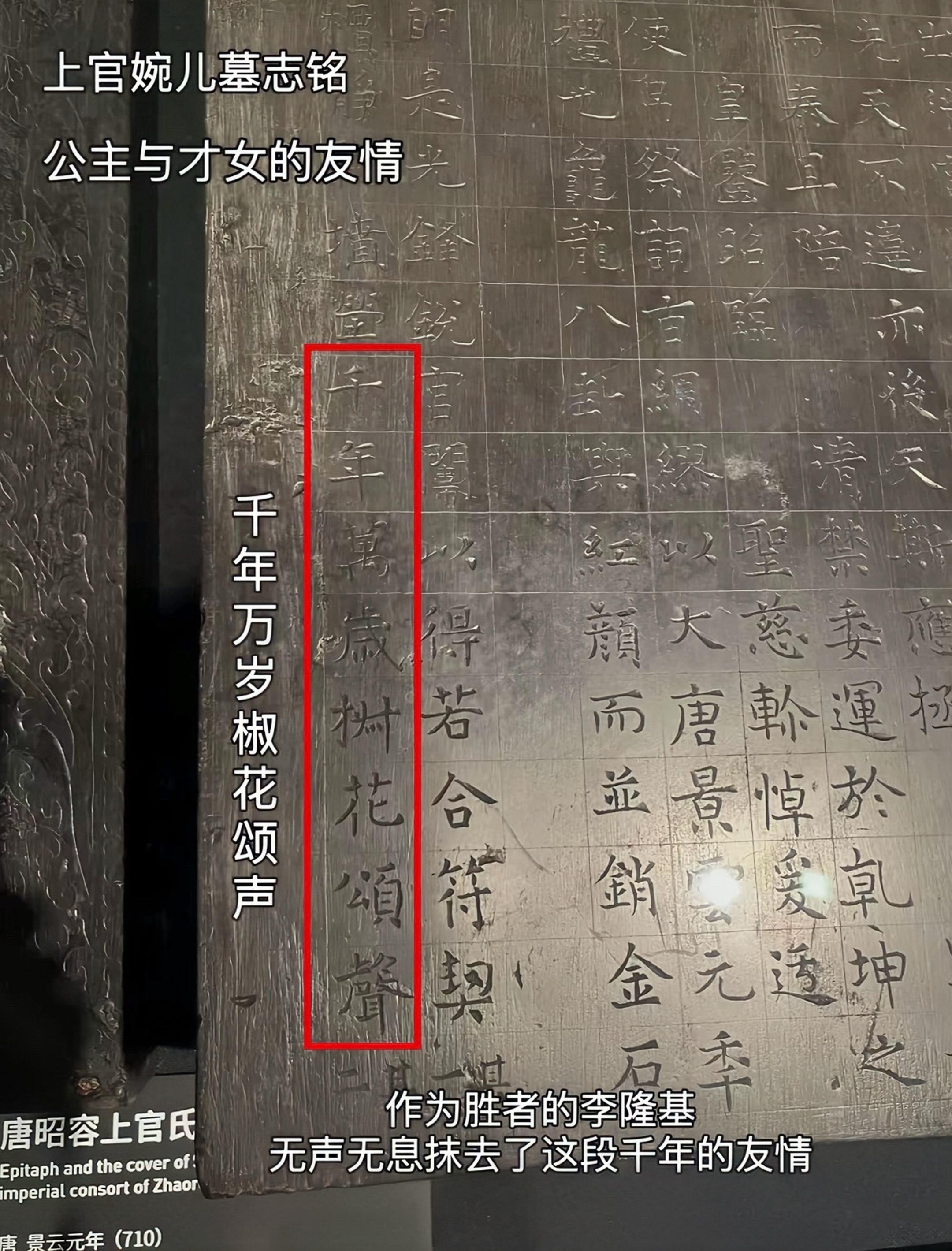 唐朝诡事录你真的，太感人了 太平公主向自己的儿子卢凌风回忆她的好友，她...