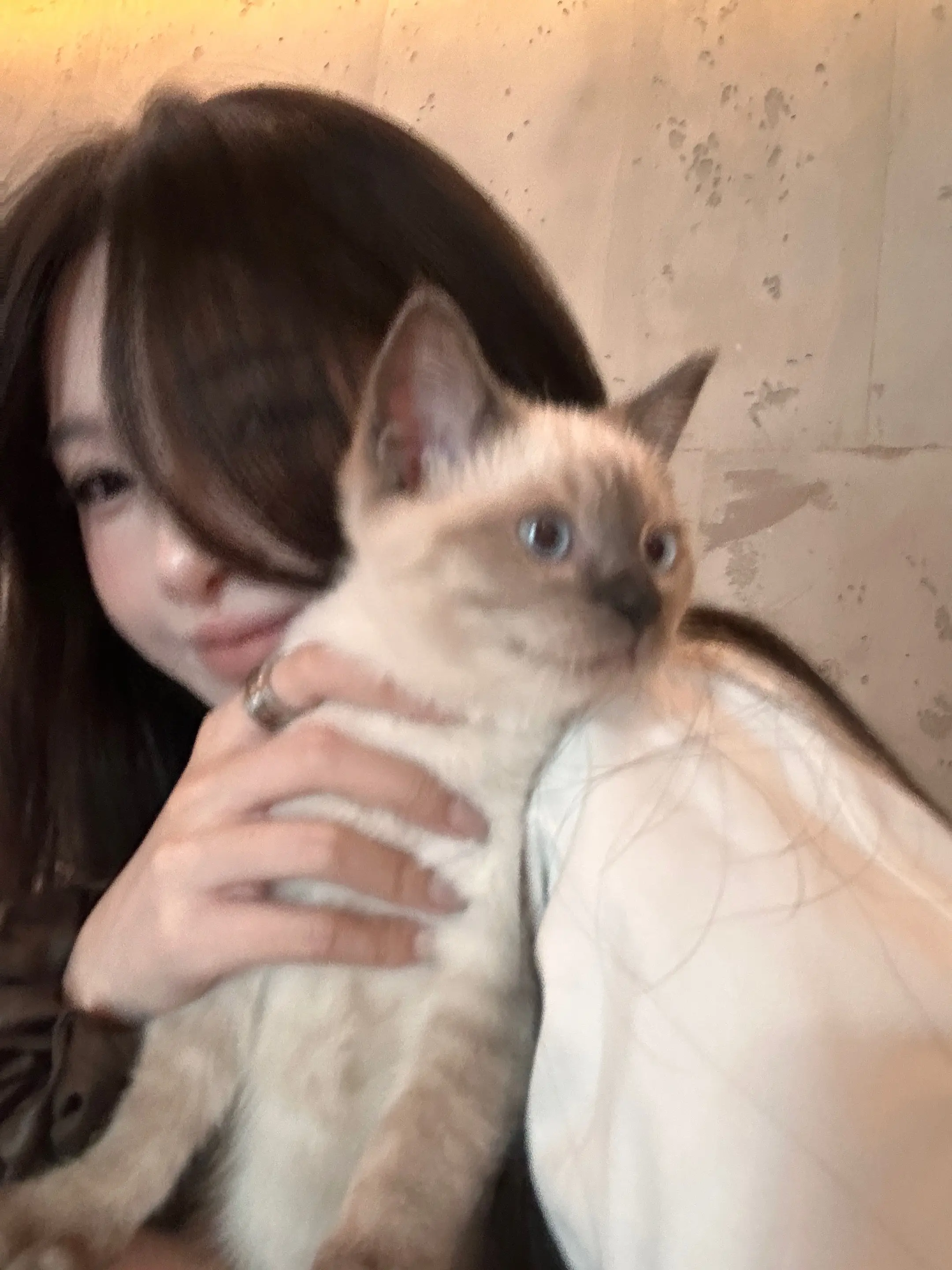 照片输出^ ̳. ̫ . ̳^ฅ