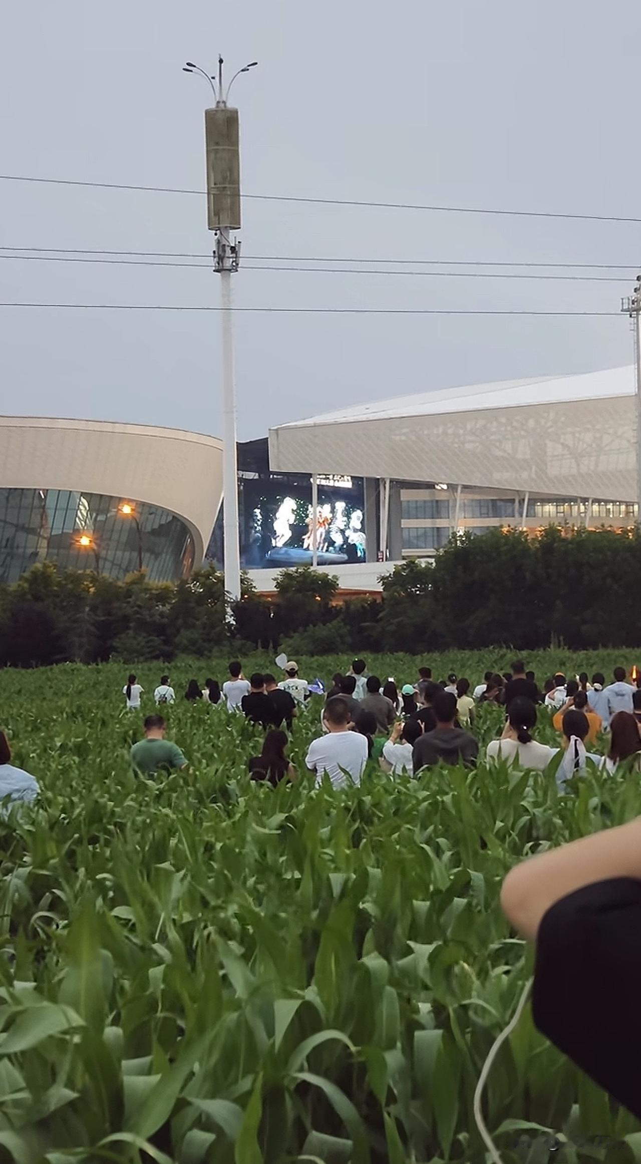 苞谷地里的观众，薛之谦万兽之王演唱会 ＃洛阳
