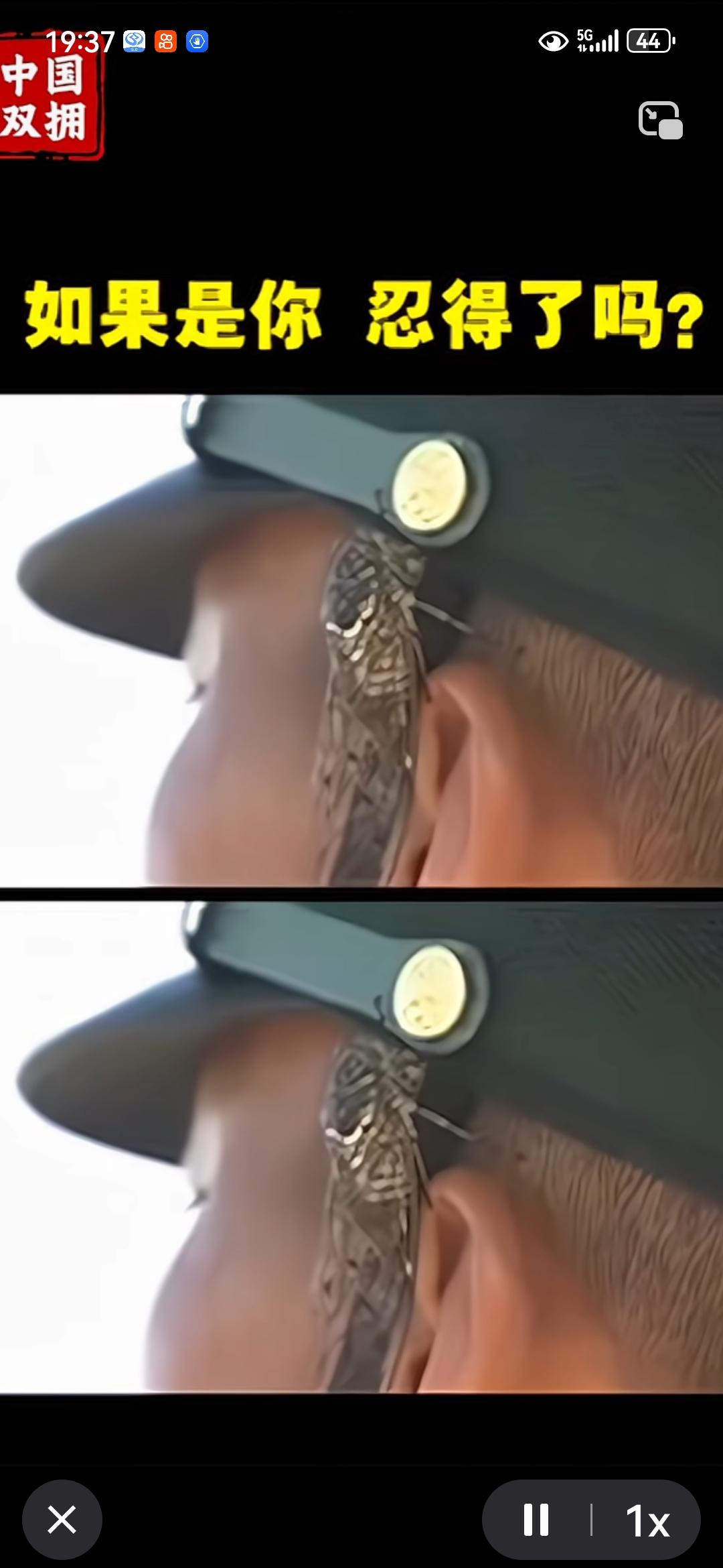 快来看看 军事迷