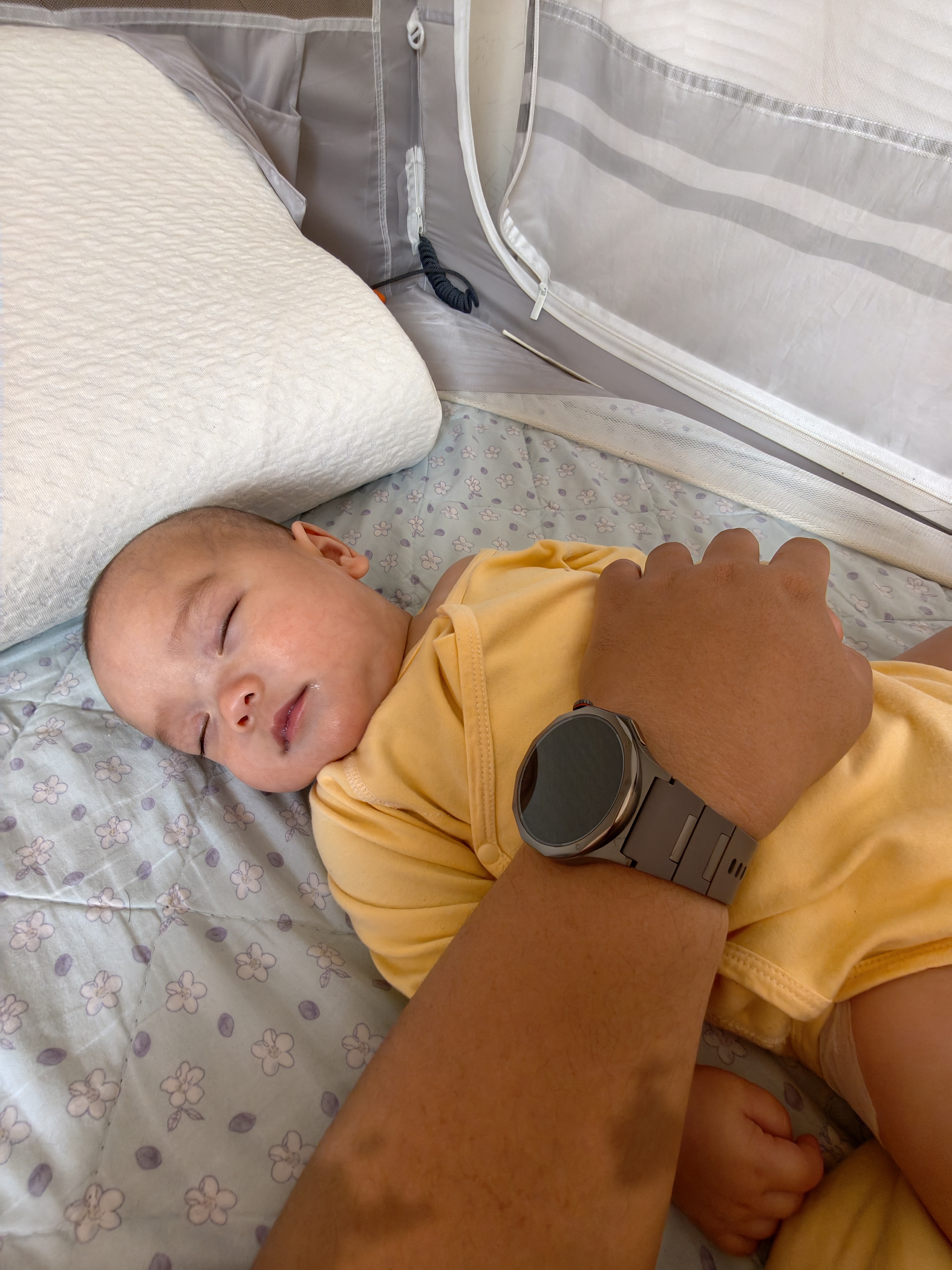 这家伙现在白天就睡两个觉，然后晚上再睡一个觉，总觉得他睡得不够，所以睡着了就在边