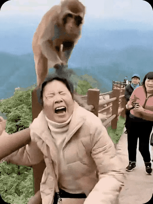 不要太调皮了，它又不懂事，你也不懂事。